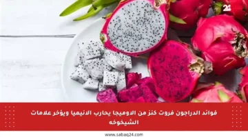 فوائد الدراجون فروت كنز من الأوميجا يحارب الأنيميا ويؤخر علامات الشيخوخة